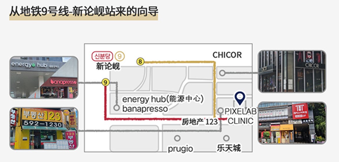从9号线·新盆唐线 新论岘站 8号·9号出口到 品秀研 Pixelab 的步行路线图
